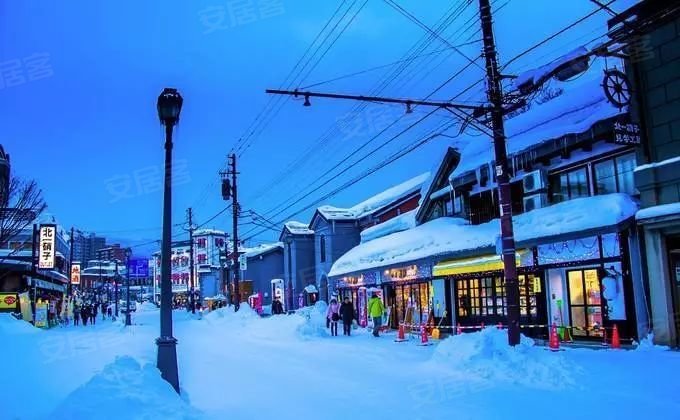 北海道雪景