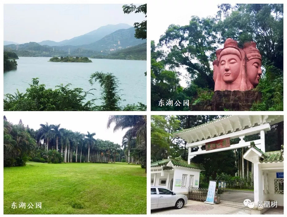 项目西侧紧邻 黄贝岭公园,距离900米是 深圳最早的公园和省级