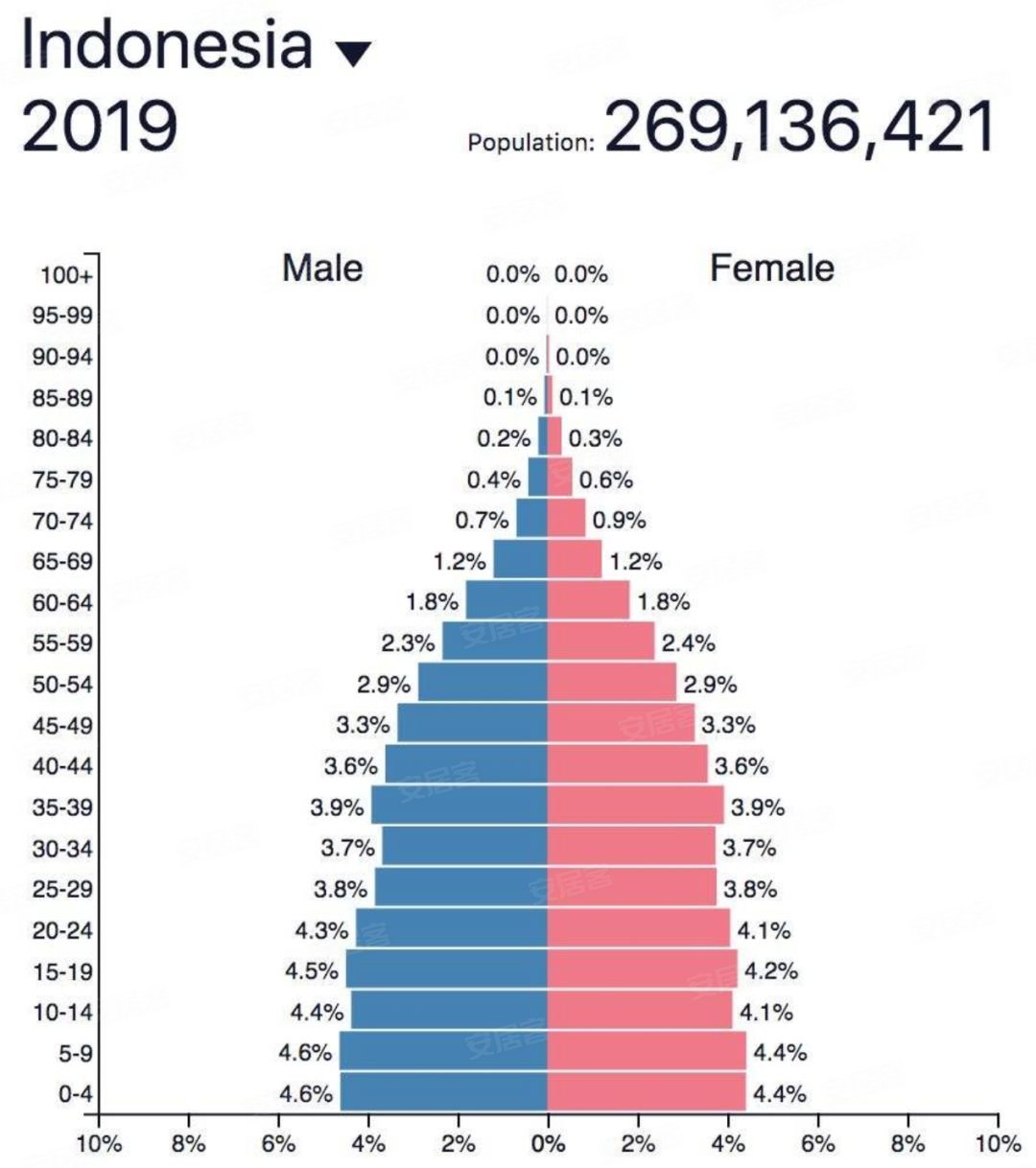 2019印尼人口结构:完美金字塔结构